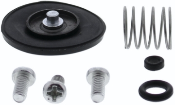 Picture of QuadBoss QBS Accelerator Pump Kits Carburetors - 420597