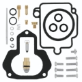 Picture of QuadBoss QBS Carburetor Kits - 418338