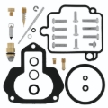 Picture of QuadBoss QBS Carburetor Kits - 418342