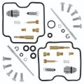 Picture of QuadBoss QBS Carburetor Kits - 418357