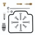 Picture of QuadBoss QBS Carburetor Kits - 418152