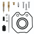 Picture of QuadBoss QBS Carburetor Kits - 418068