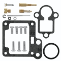 Picture of QuadBoss QBS Carburetor Kits - 418358