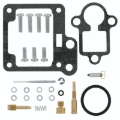 Picture of QuadBoss QBS Carburetor Kits - 418330