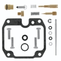 Picture of QuadBoss QBS Carburetor Kits - 418119