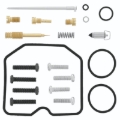 Picture of QuadBoss QBS Carburetor Kits - 418123