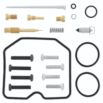 Picture of QuadBoss QBS Carburetor Kits - 418123