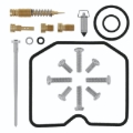 Picture of QuadBoss QBS Carburetor Kits - 418124
