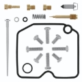 Picture of QuadBoss QBS Carburetor Kits - 418133