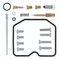 Picture of QuadBoss QBS Carburetor Kits - 418190