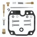 Picture of QuadBoss QBS Carburetor Kits - 418066