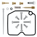 Picture of QuadBoss QBS Carburetor Kits - 418059