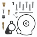 Picture of QuadBoss QBS Carburetor Kits - 418170