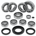 Picture of QuadBoss QBS Bearings - 417759