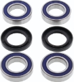 Picture of QuadBoss QBS Wheel Bearings - 410704