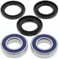 Picture of QuadBoss QBS Wheel Bearings - 413984