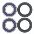 Picture of QuadBoss QBS Wheel Bearings - 410089