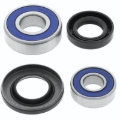 Picture of QuadBoss QBS Wheel Bearings - 413539