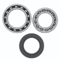Picture of QuadBoss QBS Wheel Bearings - 413276