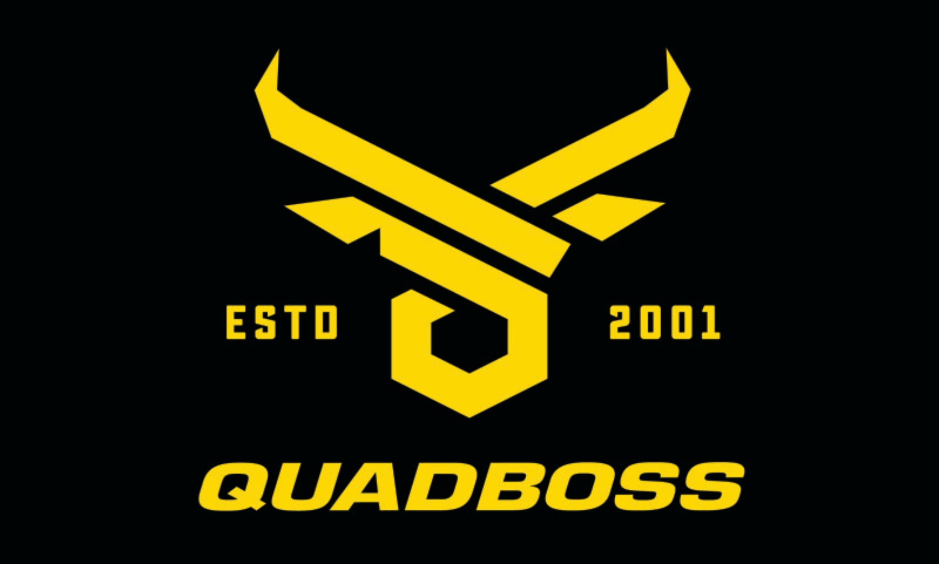 Picture of QuadBoss QBS Flags Stickers/Decals/Banners - 155353