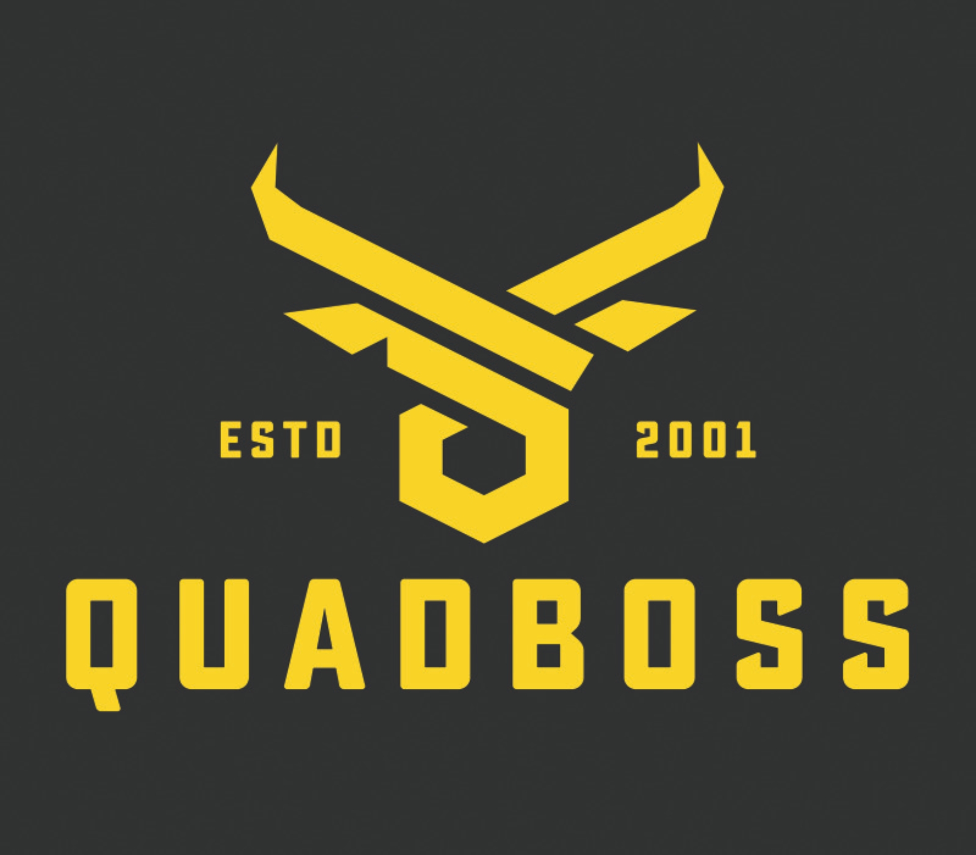 Picture of QuadBoss QBS Banners Stickers/Decals/Banners - 155621