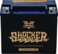 Picture of TwinPower TWP Shocker Batteries - 781234