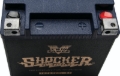 Picture of TwinPower TWP Shocker Batteries - 781235