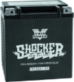 Picture of TwinPower TWP Shocker Batteries - 781156