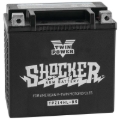 Picture of TwinPower TWP Shocker Batteries - 781152