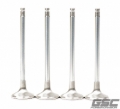 Picture of GSC Power Division GSC Exhaust Valve Sets-STD - 2039-01