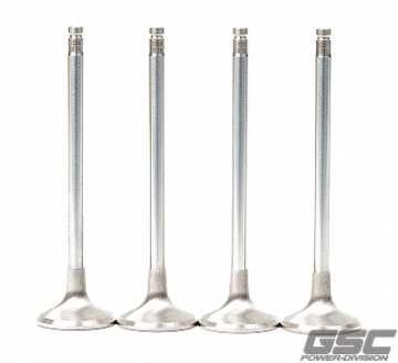 Picture of GSC Power Division GSC Exhaust Valve Sets-STD - 2039-01