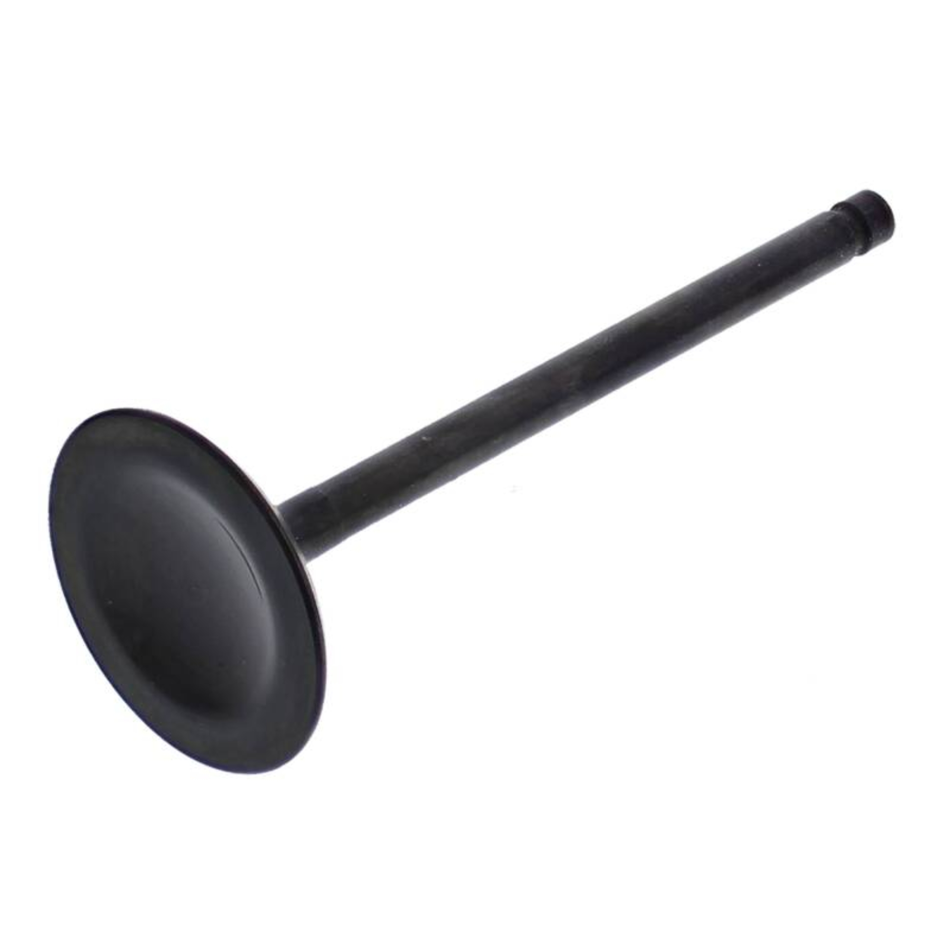 Picture of Hot Cams HOC Intake Valve - HC00028
