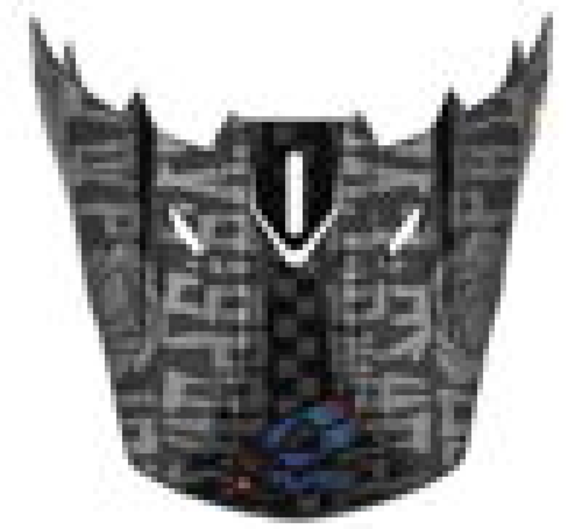 Picture of EVS T5 Helmet Visors Helmets and Accessories - HE18T5EV-VSBK