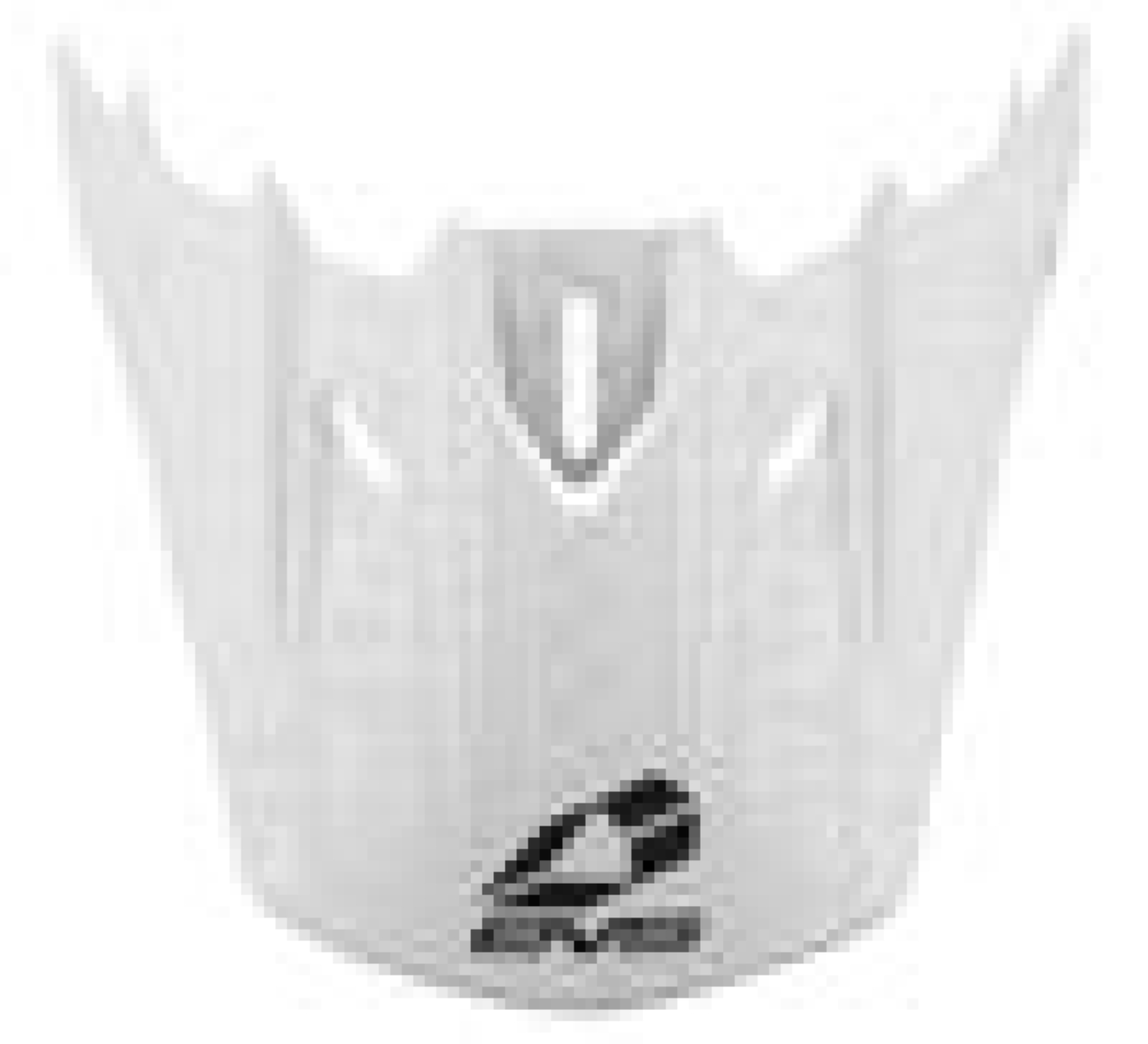 Picture of EVS T5 Helmet Visors Helmets and Accessories - HE18T5EV-VSW