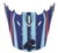 Picture of EVS T5 Helmet Visors Helmets and Accessories - HE18T5G-VSDKBU