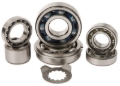 Picture of Hot Rods HDS Transmission Bearing Kit - TBK0077