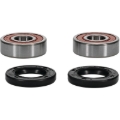 Picture of Pivot Works PIV Wheel Bearing Kit - 25-1025-P