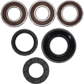 Picture of Pivot Works PIV Wheel Bearing Kit - 25-1037-P
