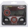 Picture of Pivot Works PIV Wheel Bearing Kit - 25-1025-P