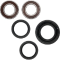 Picture of Pivot Works PIV Wheel Bearing Kit - 25-1029-P