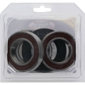 Picture of Pivot Works PIV Wheel Bearing Kit - 25-1039-P