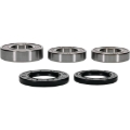 Picture of Pivot Works PIV Wheel Bearing Kit - 25-1039-P