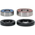 Picture of Pivot Works PIV Wheel Bearing Kit - 25-1042-P