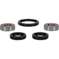 Picture of Pivot Works PIV Wheel Bearing Kit - 25-1052-P