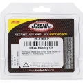 Picture of Pivot Works PIV Wheel Bearing Kit - 25-1083-P