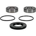 Picture of Pivot Works PIV Wheel Bearing Kit - 25-1129-P