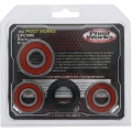 Picture of Pivot Works PIV Wheel Bearing Kit - 25-1167-P