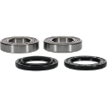Picture of Pivot Works PIV Wheel Bearing Kit - 25-1299-P