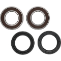 Picture of Pivot Works PIV Wheel Bearing Kit - 25-1299-P