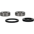 Picture of Pivot Works PIV Wheel Bearing Kit - 25-1380-P